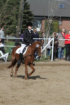 Bild 641 - WBO-Turnier am 9.4.11